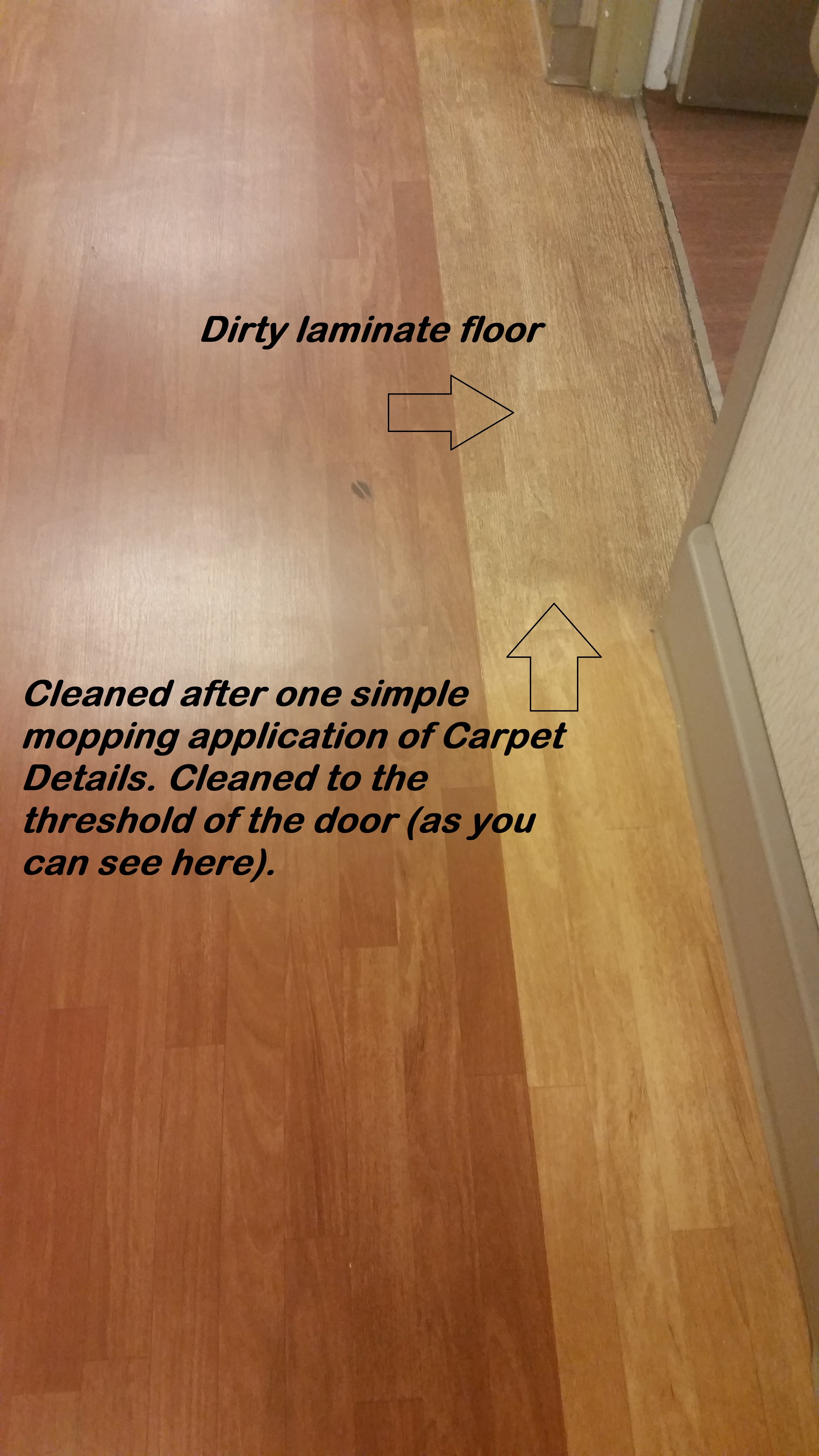 Carpet Details all in one Professional Prespray & Spotter